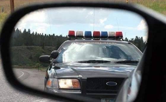 53902833_2343579042339218_5213417563731525632_n (1)