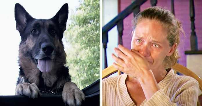 heroic-stray-dog-saves-injured-woman