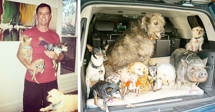 man-devotes-his-life-in-helping-dogs
